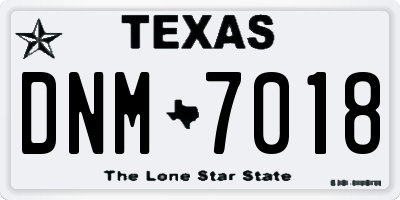TX license plate DNM7018