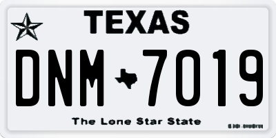 TX license plate DNM7019
