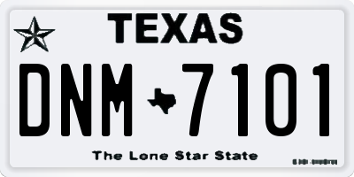 TX license plate DNM7101