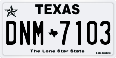 TX license plate DNM7103
