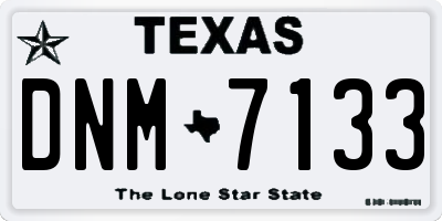 TX license plate DNM7133