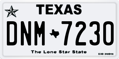 TX license plate DNM7230