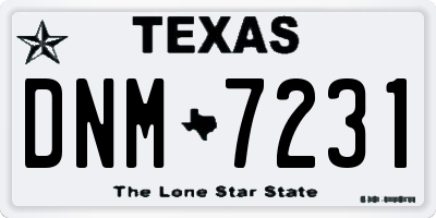 TX license plate DNM7231