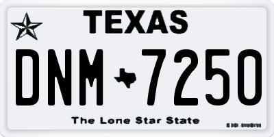 TX license plate DNM7250