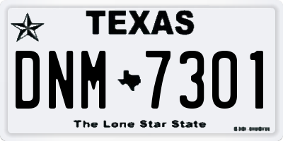 TX license plate DNM7301