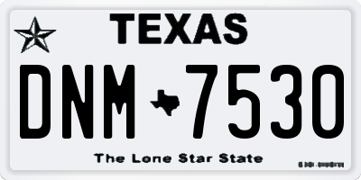 TX license plate DNM7530