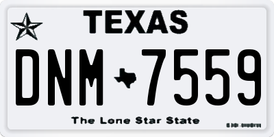 TX license plate DNM7559