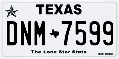 TX license plate DNM7599