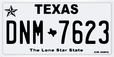 TX license plate DNM7623