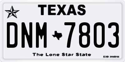 TX license plate DNM7803