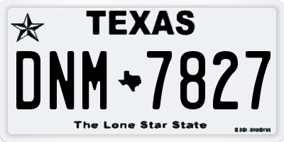 TX license plate DNM7827