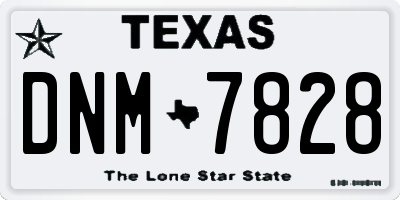 TX license plate DNM7828
