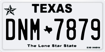 TX license plate DNM7879