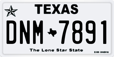 TX license plate DNM7891