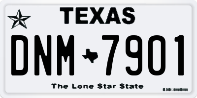 TX license plate DNM7901