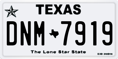 TX license plate DNM7919