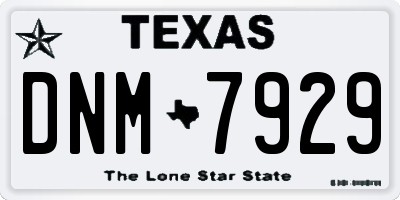 TX license plate DNM7929