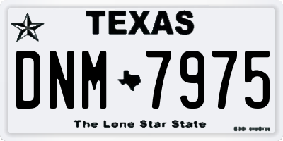 TX license plate DNM7975