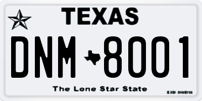 TX license plate DNM8001