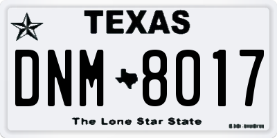 TX license plate DNM8017