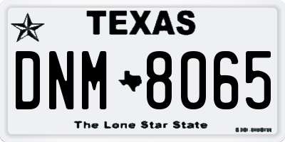 TX license plate DNM8065