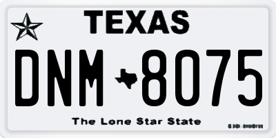TX license plate DNM8075