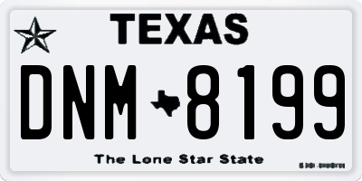 TX license plate DNM8199