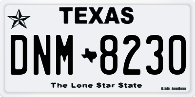 TX license plate DNM8230