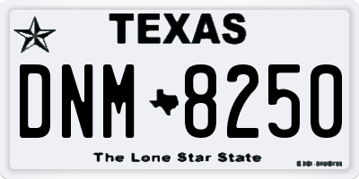 TX license plate DNM8250