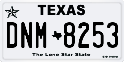 TX license plate DNM8253