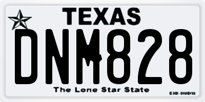 TX license plate DNM828