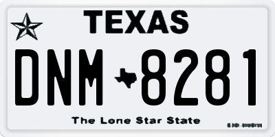 TX license plate DNM8281
