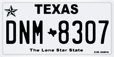 TX license plate DNM8307