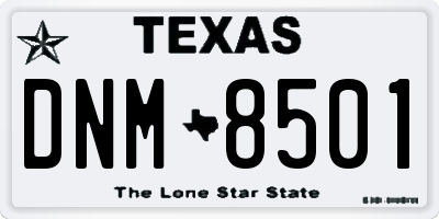 TX license plate DNM8501