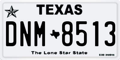 TX license plate DNM8513