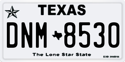 TX license plate DNM8530