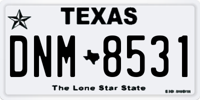 TX license plate DNM8531