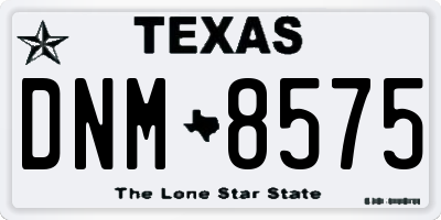 TX license plate DNM8575