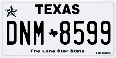 TX license plate DNM8599