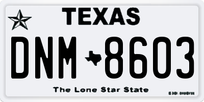 TX license plate DNM8603