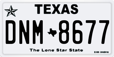 TX license plate DNM8677