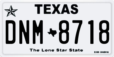 TX license plate DNM8718