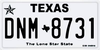 TX license plate DNM8731