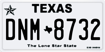 TX license plate DNM8732