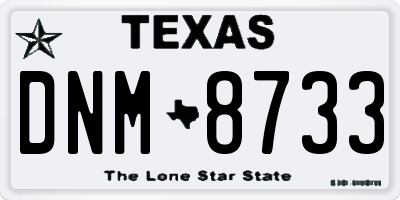 TX license plate DNM8733