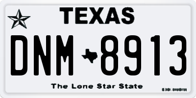 TX license plate DNM8913