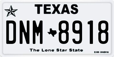 TX license plate DNM8918