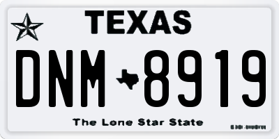 TX license plate DNM8919