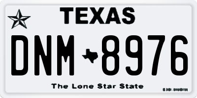 TX license plate DNM8976