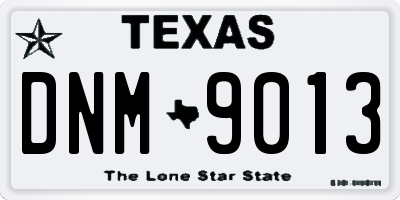TX license plate DNM9013